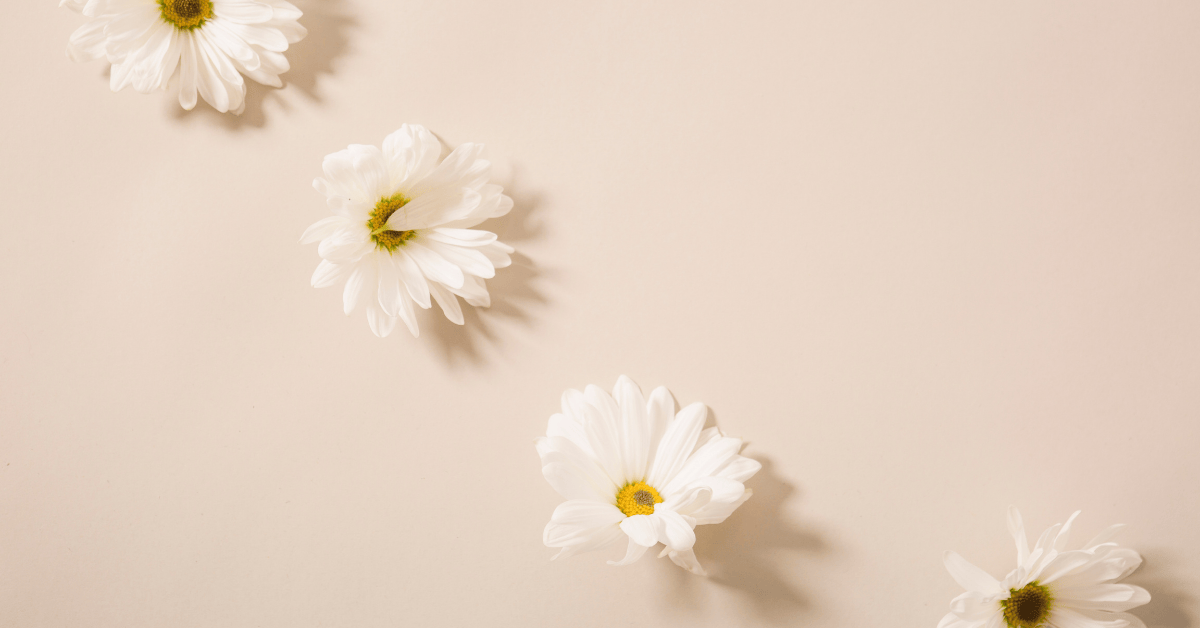 Kamomill RESTORE Perfection – lugn för hud & hår med kraft från naturen 🌼