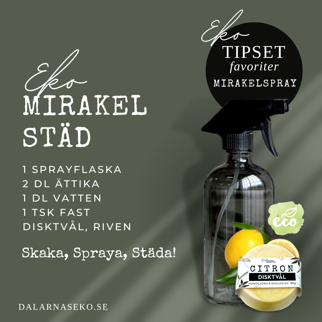 EKO STÄDFAVORITERNA: Tvätt- Städ- och Disktvål, Barrskog - Dalarnaseko.se