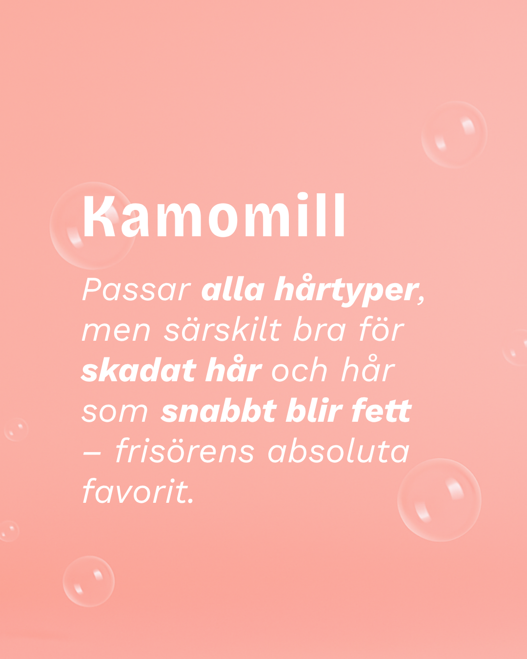 COLOR POP EDITION: Kamomill Restore Perfection Shampoo