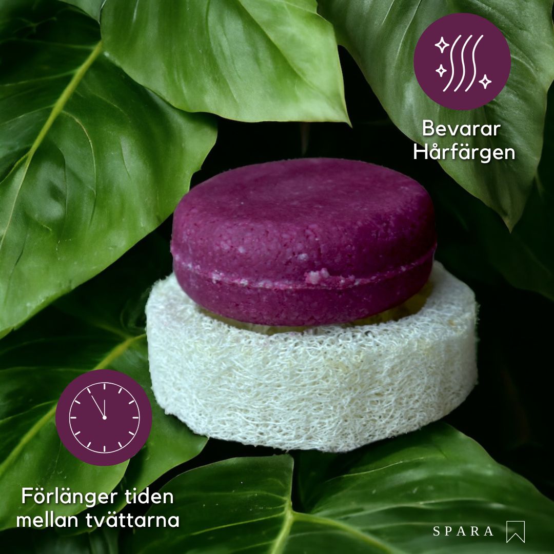 LIMITED EDITION: MAY CHANG Repair & Volume Shampoo, frisörens val!