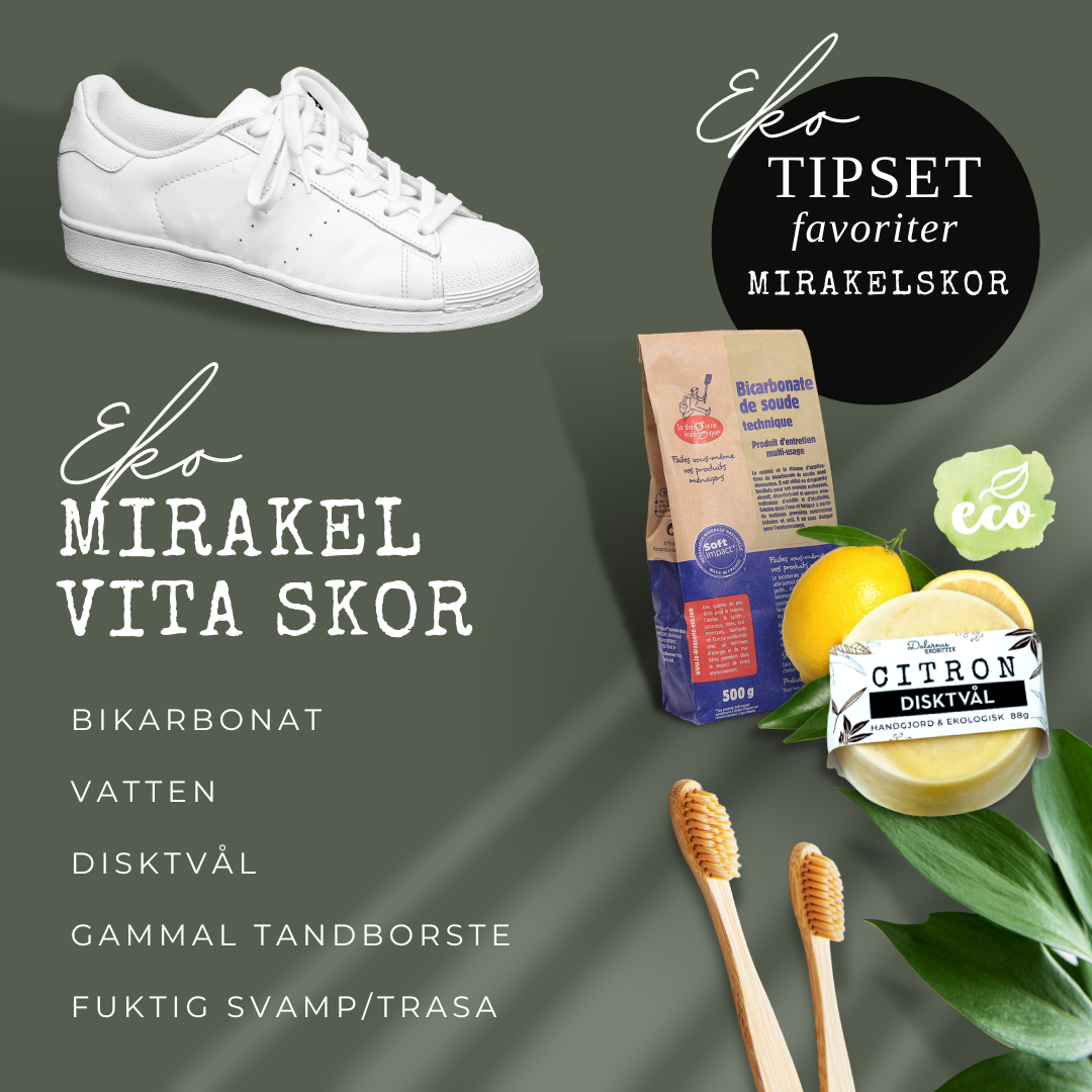 EKO STÄDFAVORITERNA: Tvätt- Städ- och Disktvål, Barrskog - Dalarnaseko.se