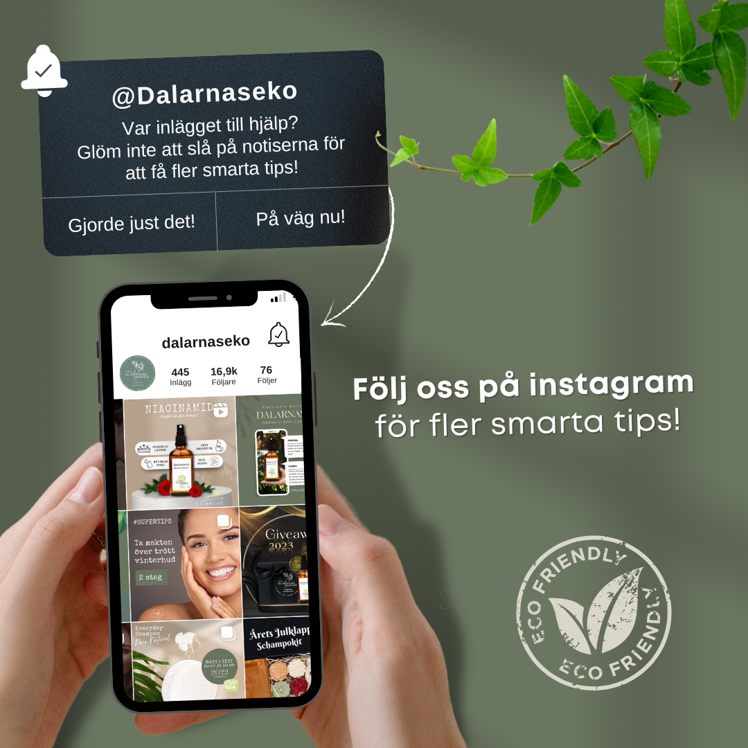 EcoCoconut - Diskborste i Kokosnötsfiber och Trä